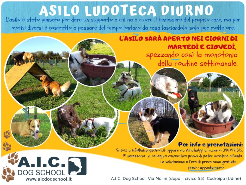 ASILO LUDOTECA