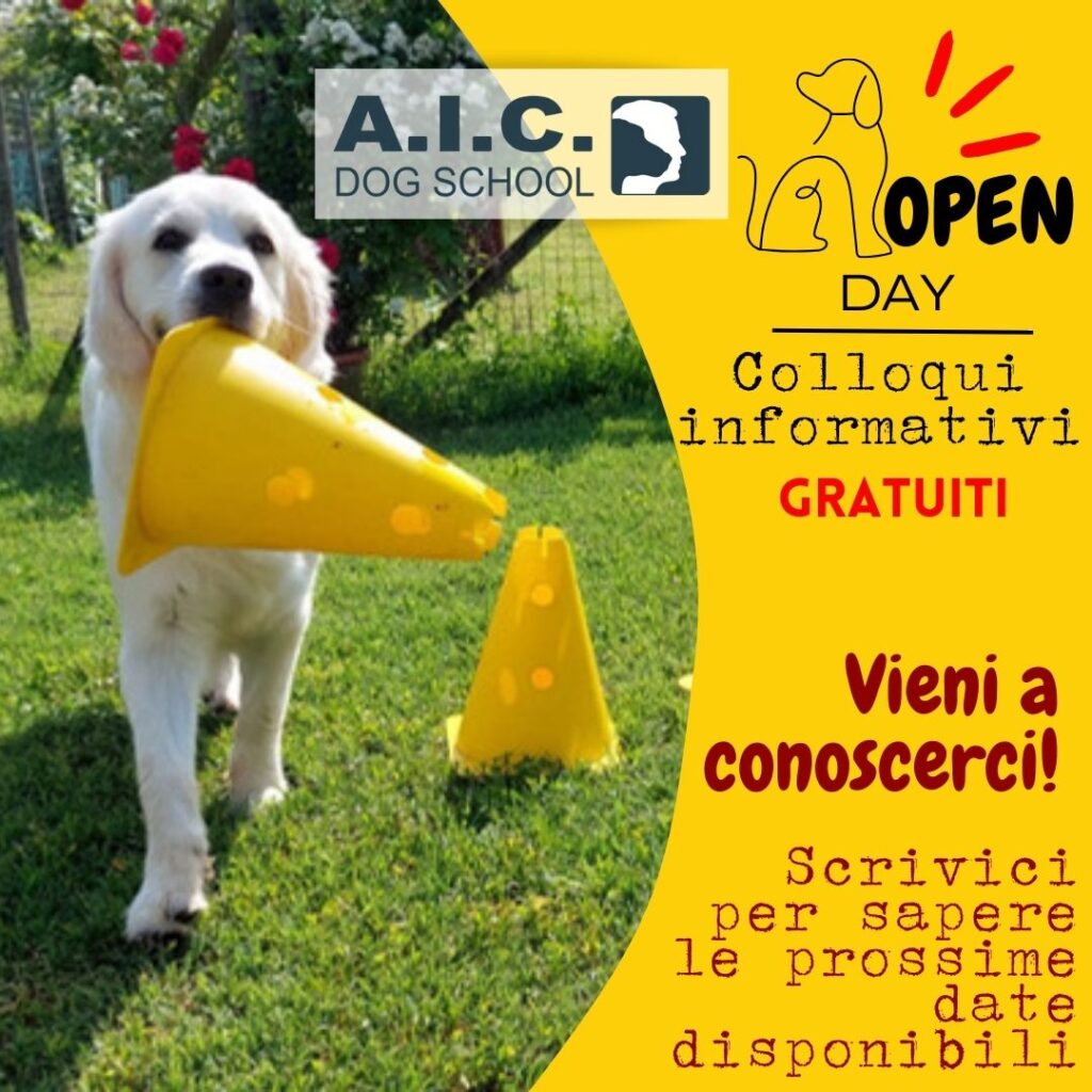 GIOCHI OLFATTIVI – NOSEWORK – A.I.C. DOG SCHOOL